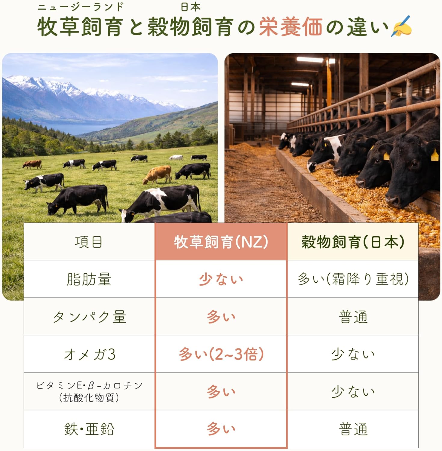【送料無料】フリーズドライトリーツ(猫用) 選べる3袋