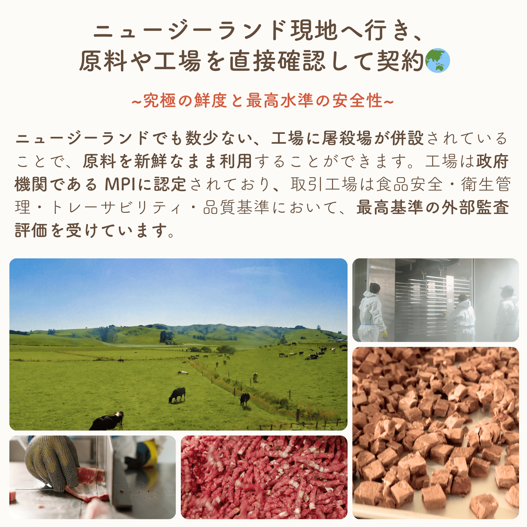 【初回限定】トッピング 体験 セット①｜ドライフード&フリーズドライ 送料無料