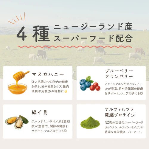 【定期便】フリーズドライ ビーフ [500g]
