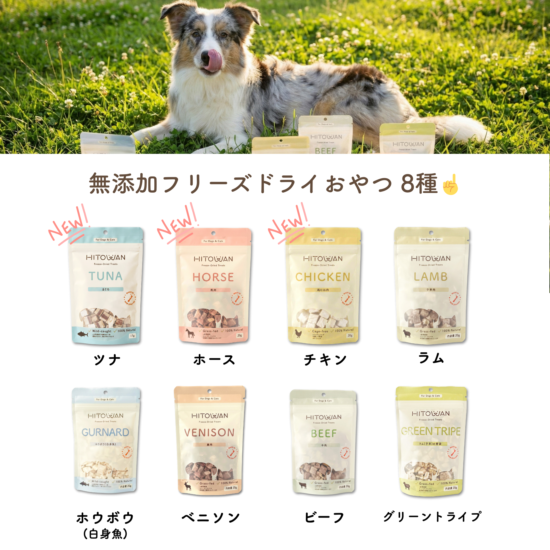 【送料無料】選べるフリーズドライトリーツ(5袋セット)| ※種類選択が必須