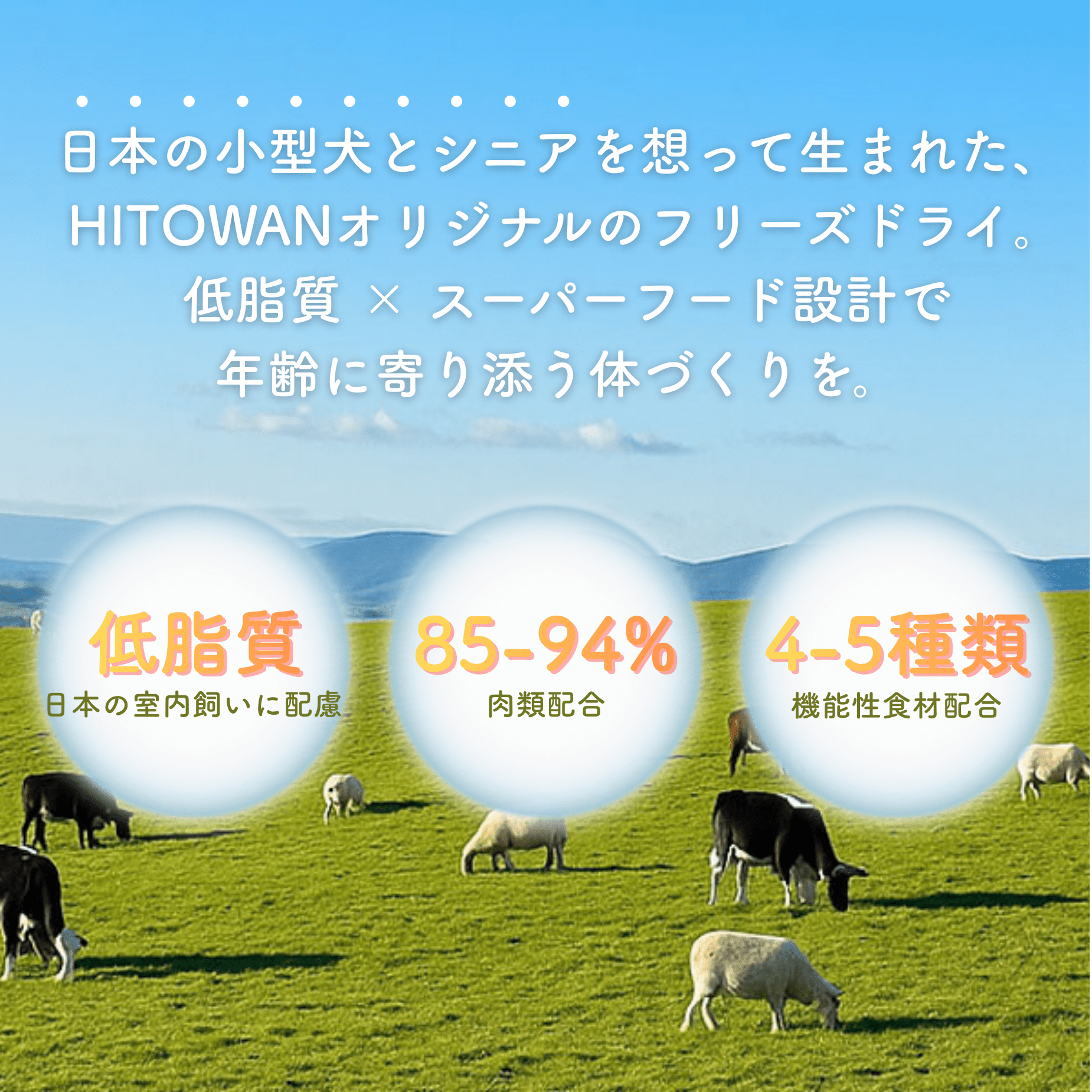 生食フリーズドライ ベニソン(鹿) | 選べる3サイズ