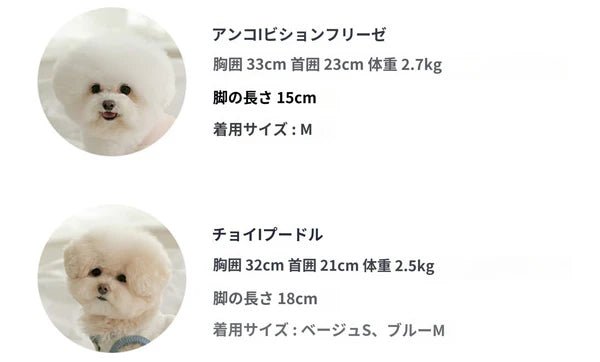 SSFW(エスエスエフダブリュー) Cloud Neck Collar（クラウド ネック カラー）