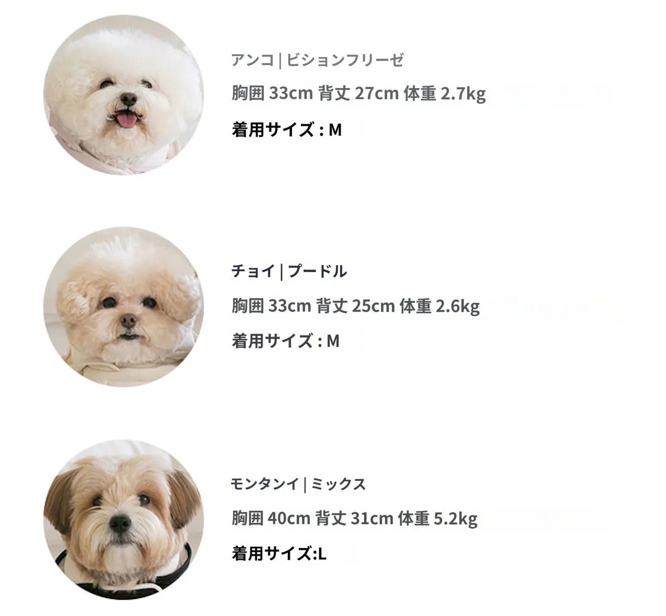 SSFW(エスエスエフダブリュー) My Bestie Puffer Harness（3colors）