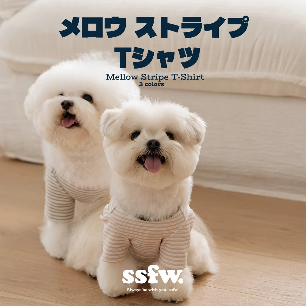 SSFW(エスエスエフダブリュー) メロウ ストライプTシャツ
