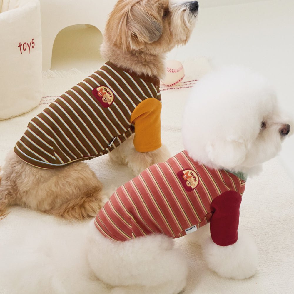 BENNYS(べニーズ)  AUTUMN STRIPE T-SHIRT