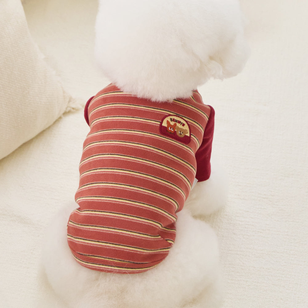 BENNYS(べニーズ)  AUTUMN STRIPE T-SHIRT