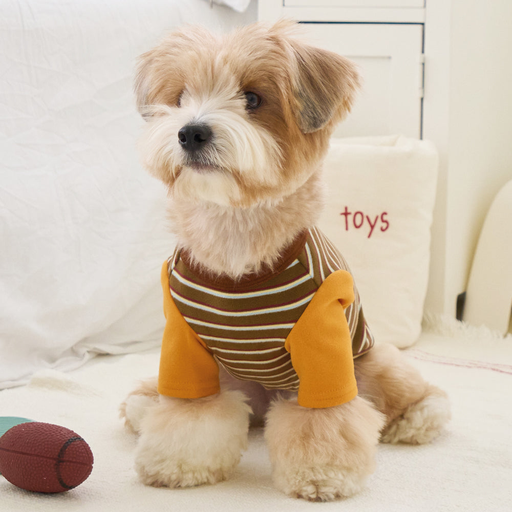 BENNYS(べニーズ)  AUTUMN STRIPE T-SHIRT