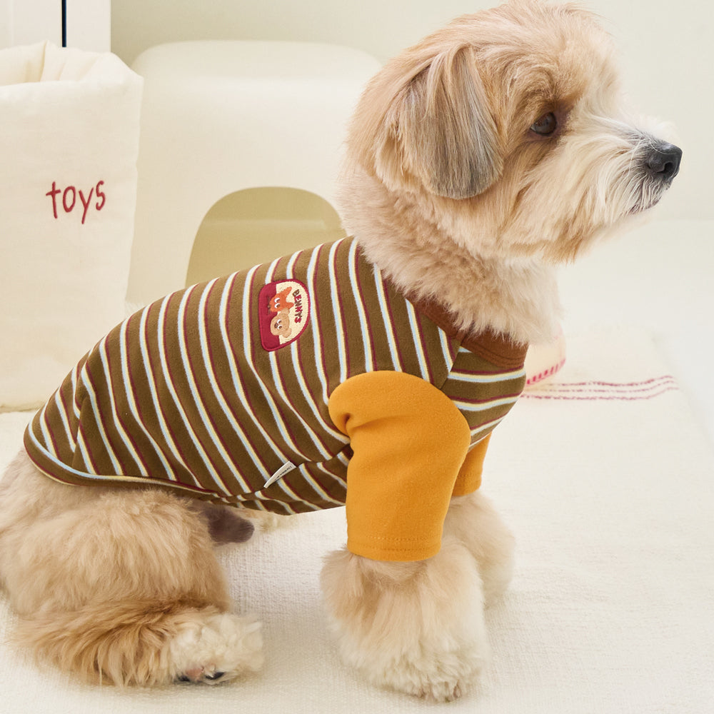 BENNYS(べニーズ)  AUTUMN STRIPE T-SHIRT