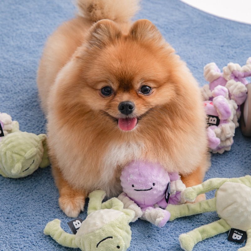 BITE ME (バイトミー) ぴょんぴょんボールおもちゃ | 音が鳴るおもちゃ