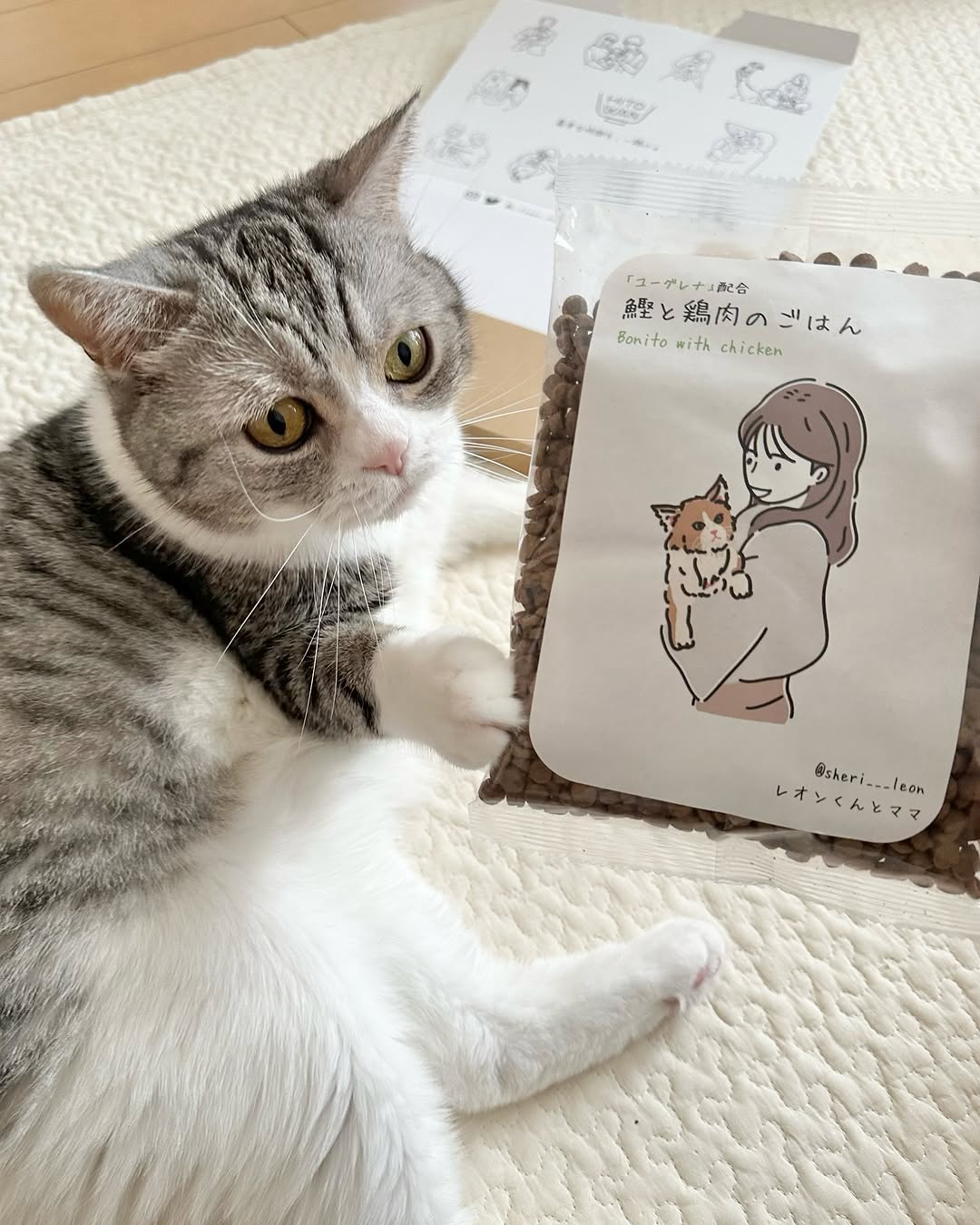 鰹と鶏肉のごはん 香りまで美味しいキャットフード