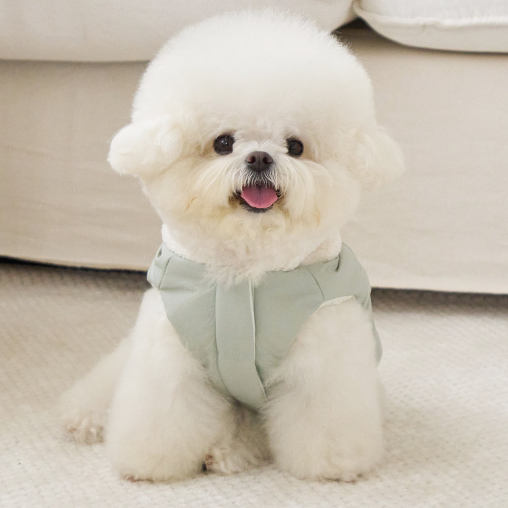 BENNYS(べニーズ)  MOCHI SOFT SHORT PADDING