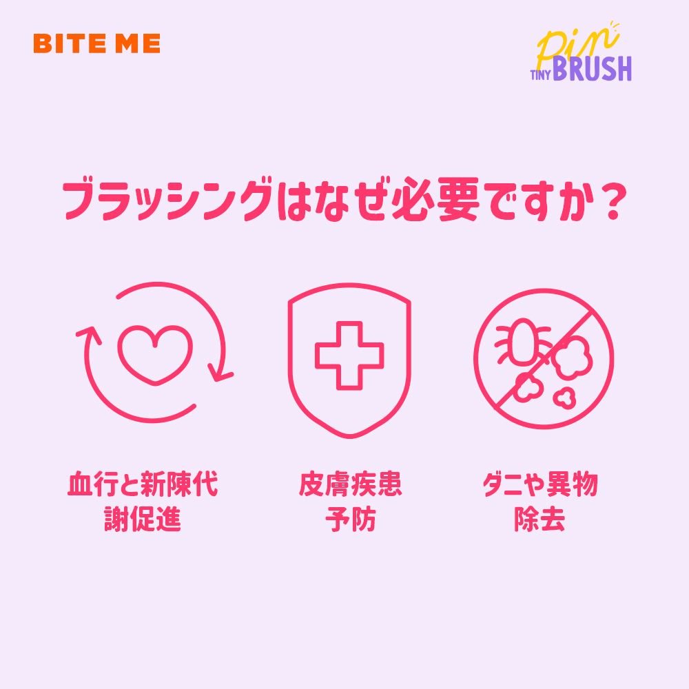 ピンブラシ