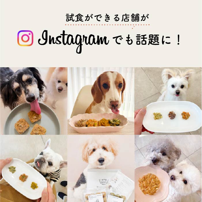 食べ比べセット (120g×7袋)｜※商品選択が必須