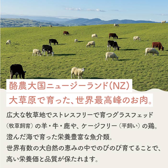 フリーズドライ ビーフ | 選べる3サイズ