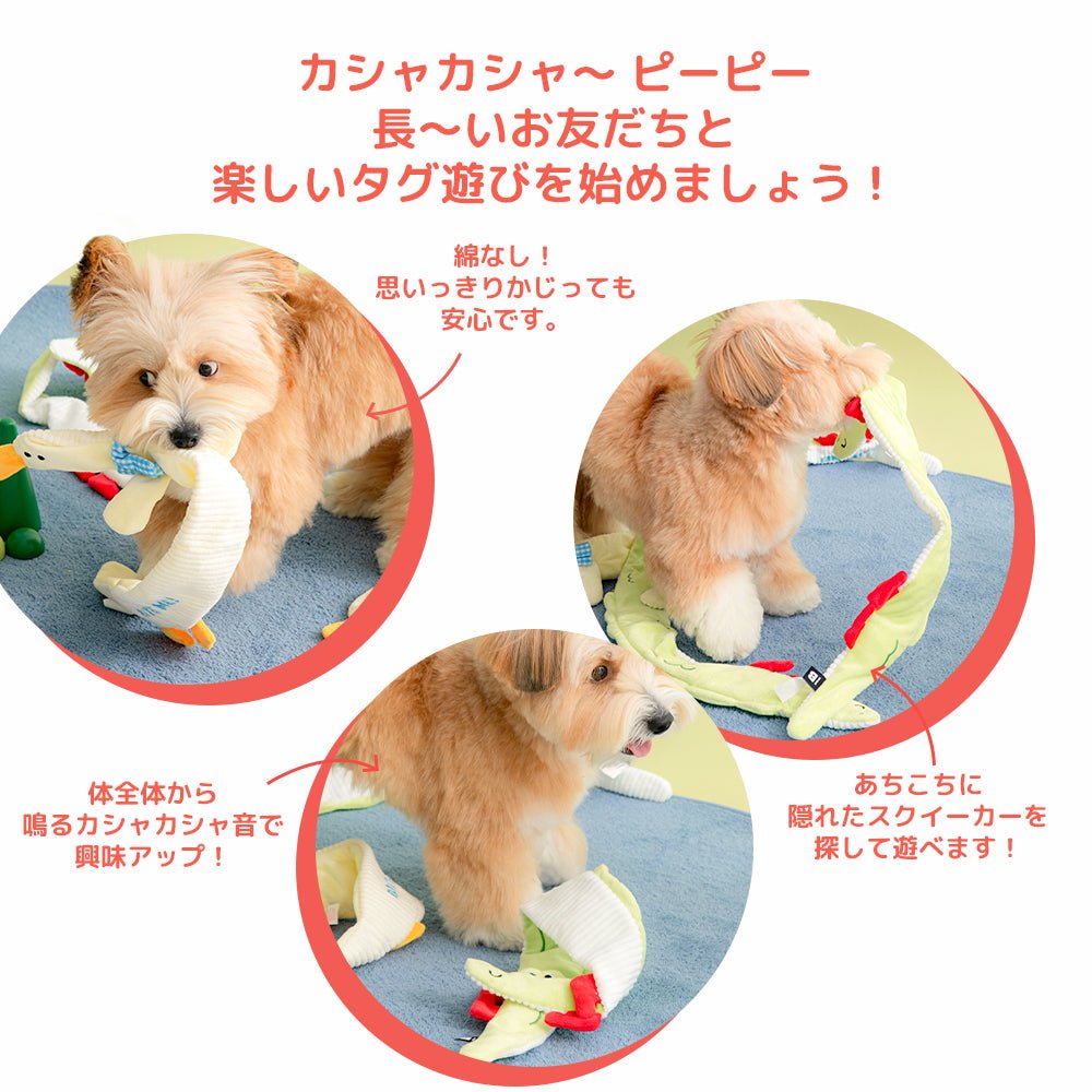 BITE ME (バイトミー) |ロンロンズ引っ張りっこおもちゃ