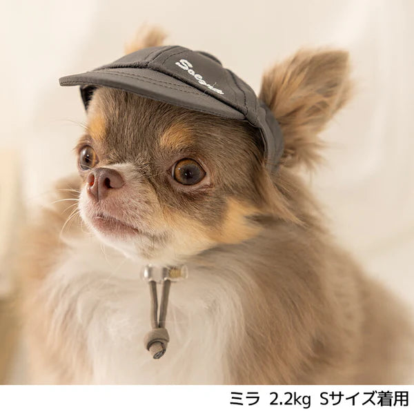 Solgra(ソルグラ)  ソルグラキャップ