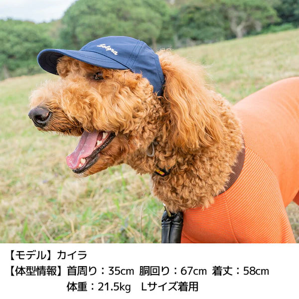 Solgra(ソルグラ)  ソルグラキャップ
