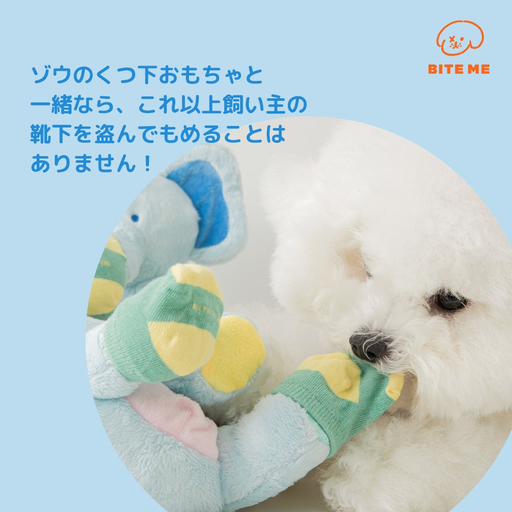 靴下を履いた象さん | おやつを隠せるおもちゃ