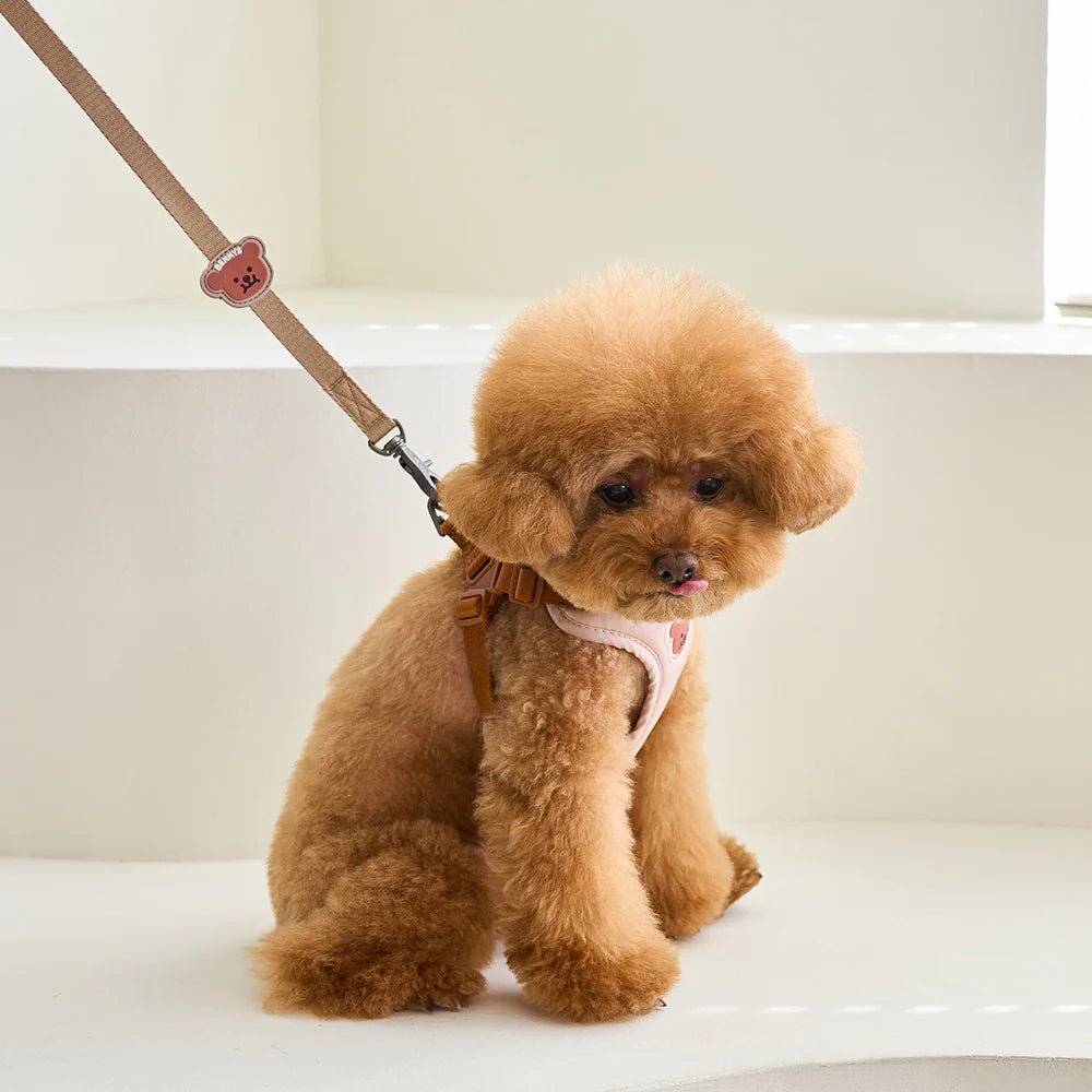 MULTI LEASH