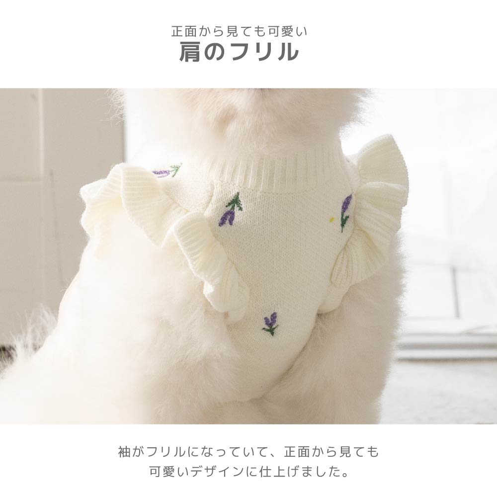 TINOTITO(ティノティート)  ラベンダー袖フリルニット