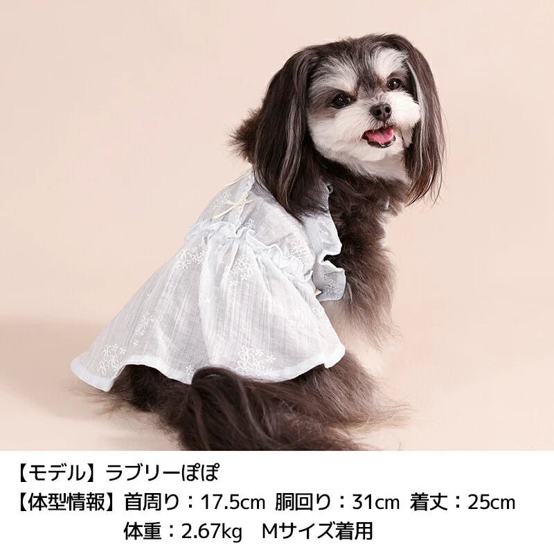 Un TouTou(アントゥトゥ)  ビスチェ風ワンピ