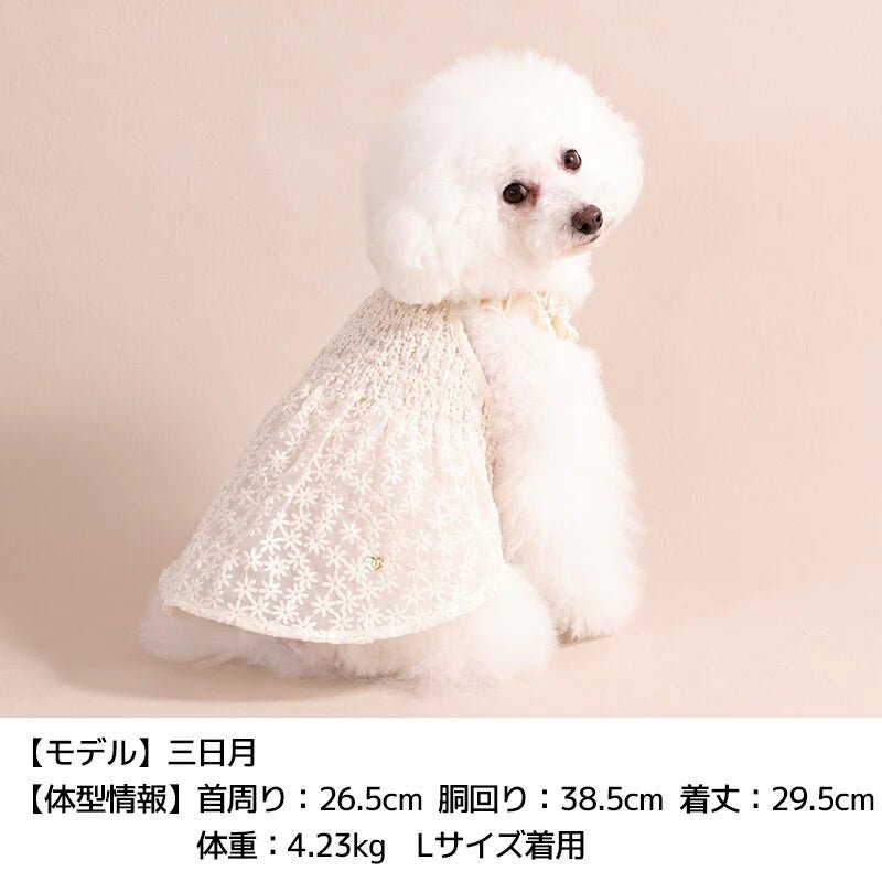 Un TouTou(アントゥトゥ)  花柄レースワンピ