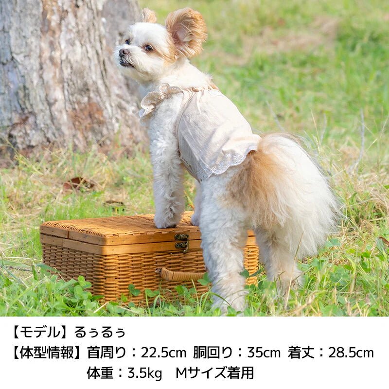 Un TouTou(アントゥトゥ)  裾刺しゅうキャミソール