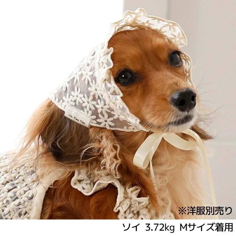 Un TouTou(アントゥトゥ)  ナチュラルレース生地帽子