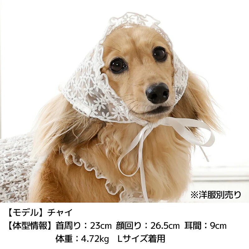 Un TouTou(アントゥトゥ)  ナチュラルレース生地帽子